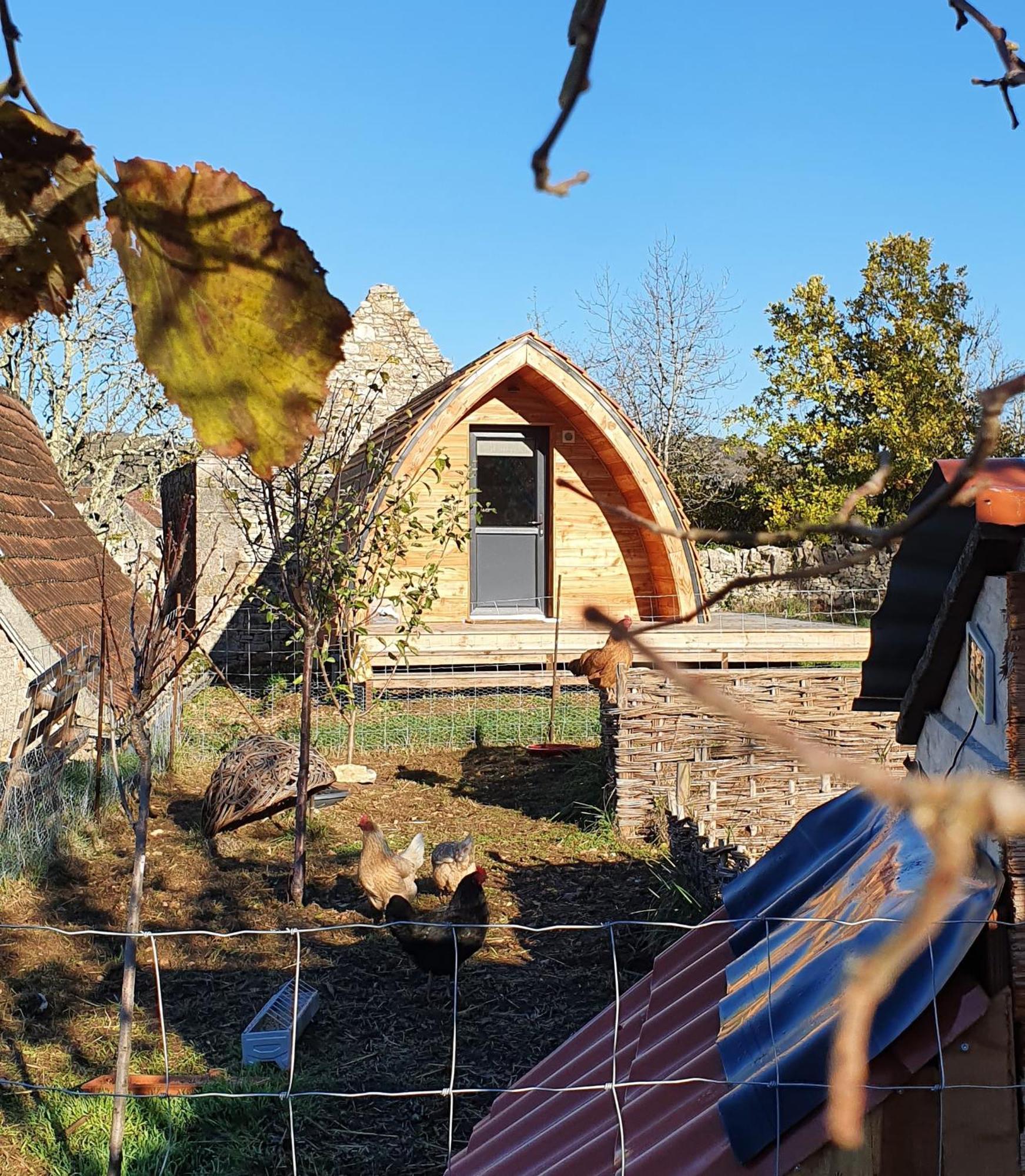 L'Oseraie Du Quercy Calvignac Habitación foto